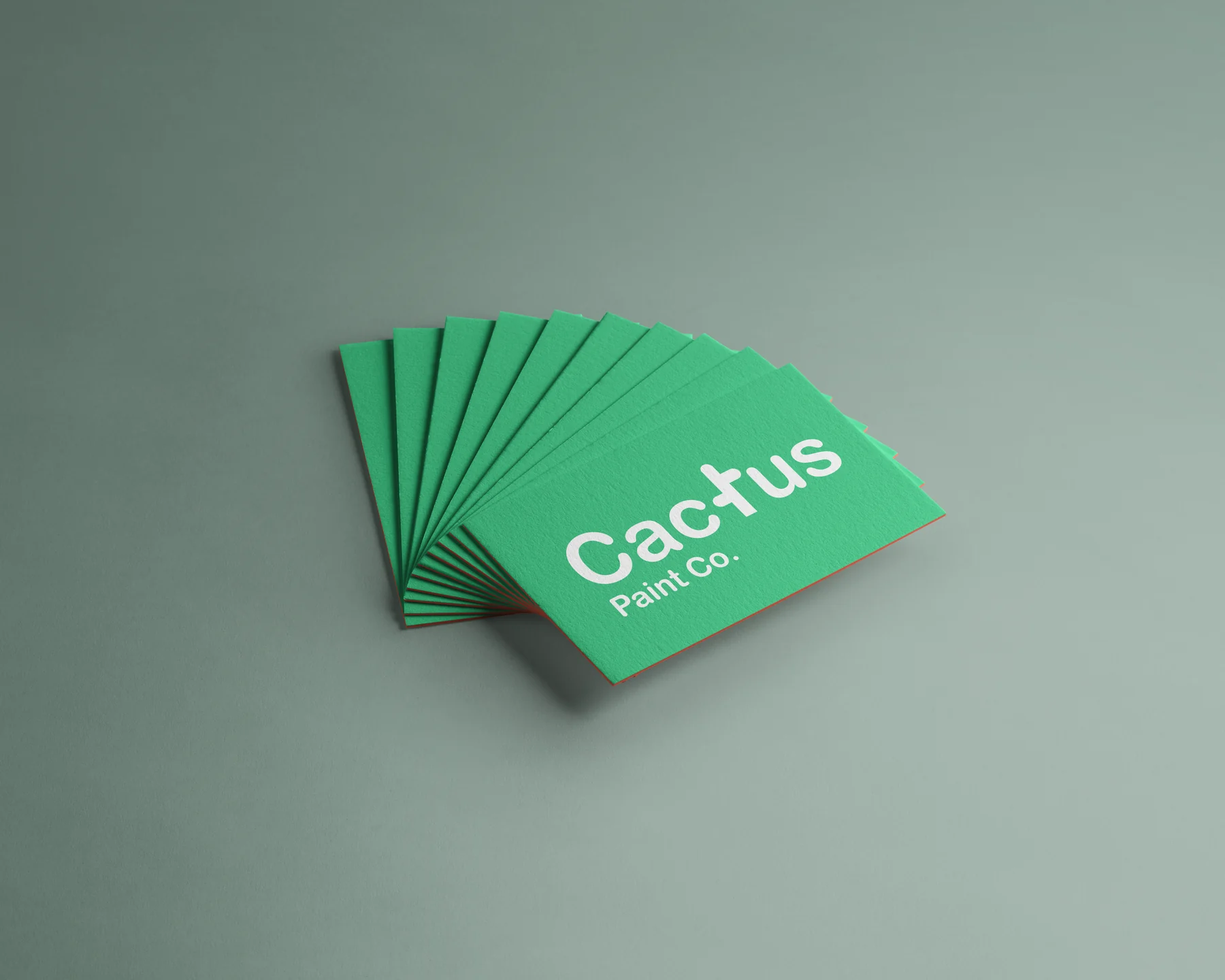 Cactus Paint Company business card system