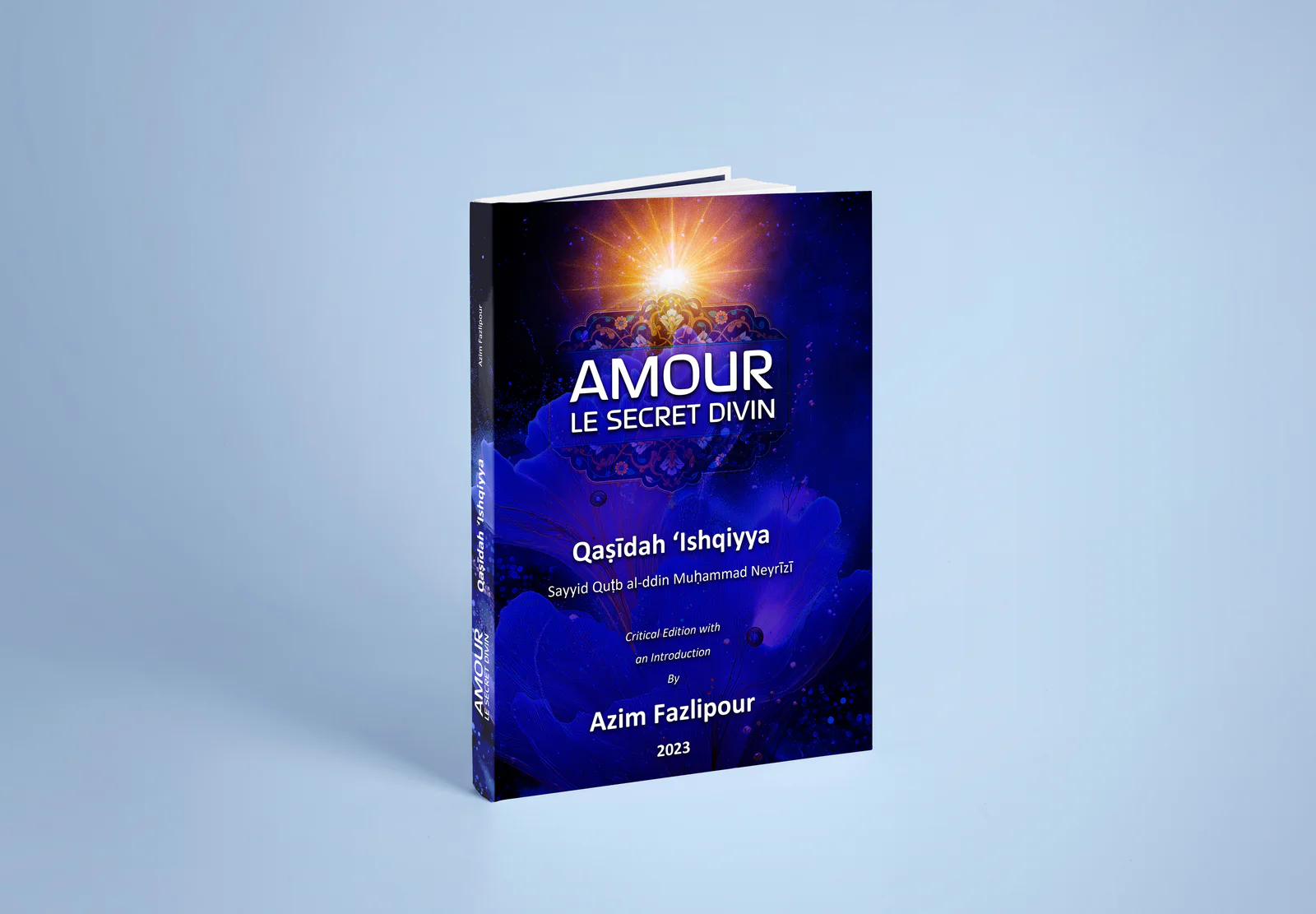 Front cover of Amour Le Secret Divin